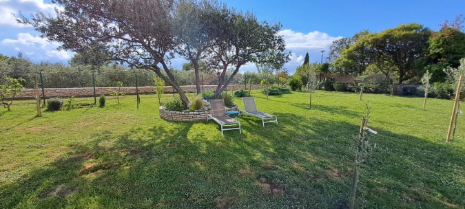 Holiday Home Oliveto, Fazana Apartments  Fažana