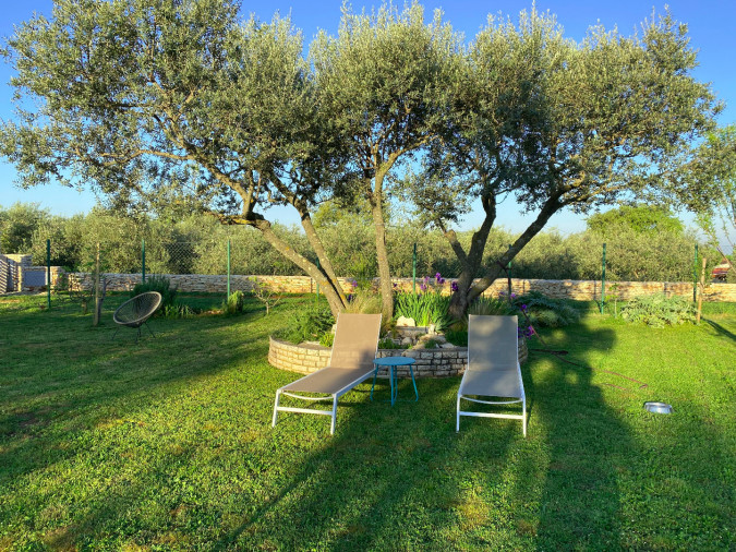 Relaxation in the quiet of the olive grove, Fazana Apartments  Fažana