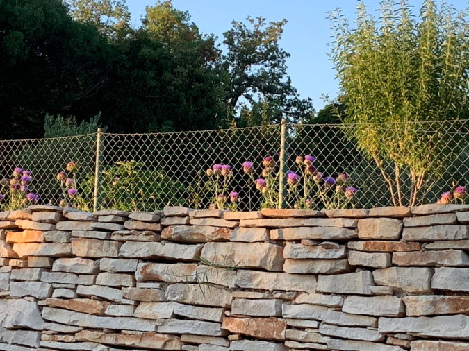 Holiday Home Oliveto, Fazana Apartments  Fažana